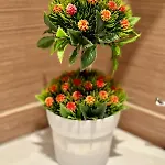 Sunshine Szent Konstantin és Elena