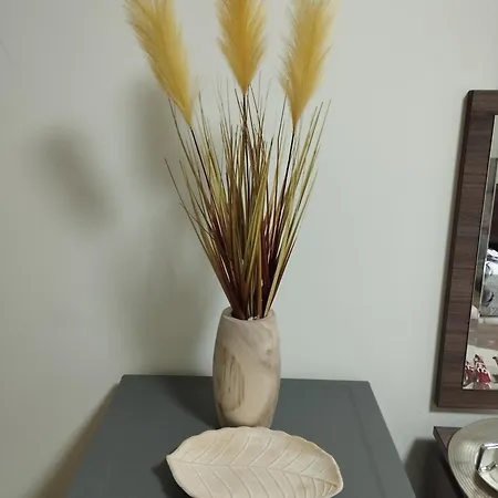 Lägenhet Sunshine *