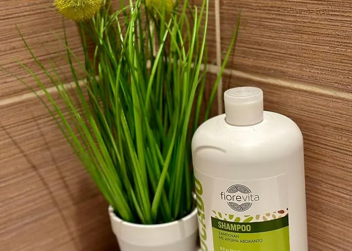 Sunshine Sveti Konstantin